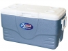 Coleman 36 Quart Xtreme Cooler